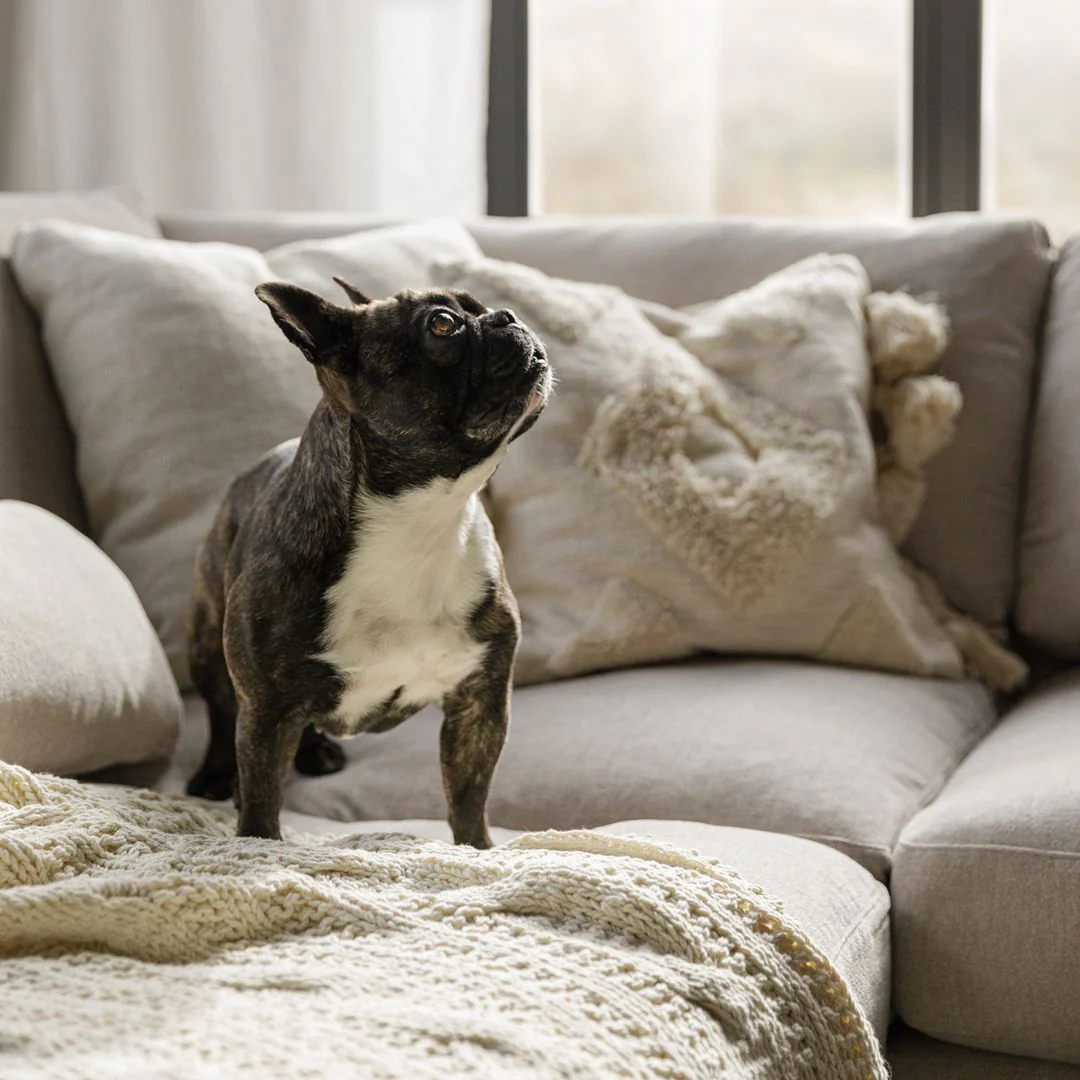 BRANDON Corner Sofa - Image 5